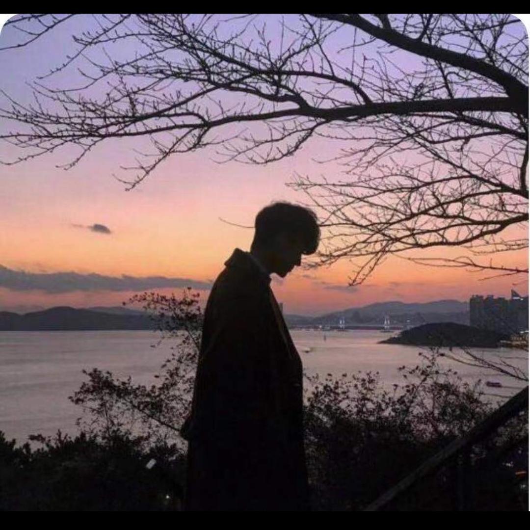 鼎觅