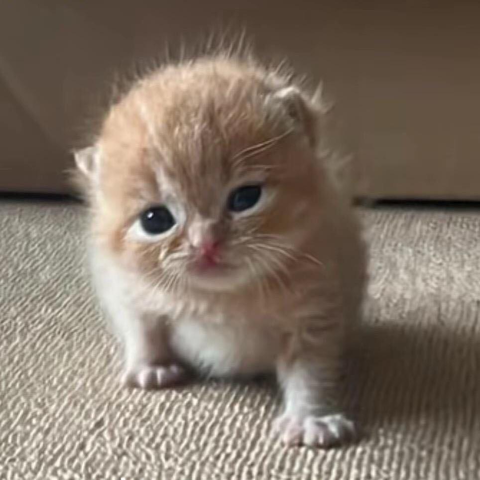 Mia_
