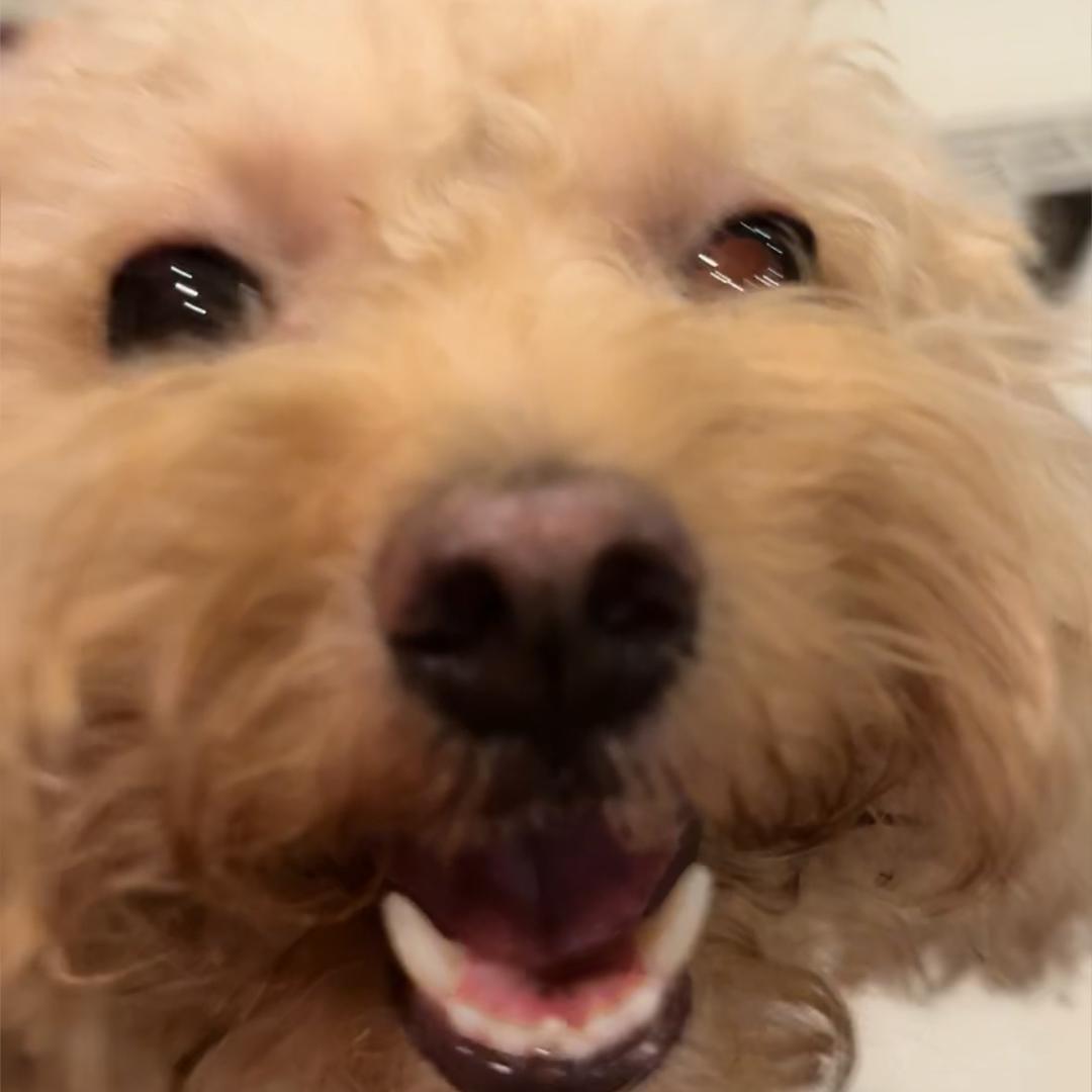 在线修改一个抽象名字