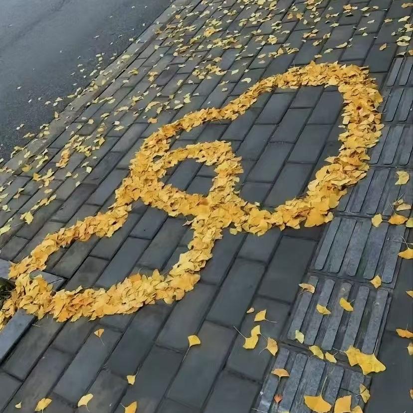 元宝区卓月通讯行