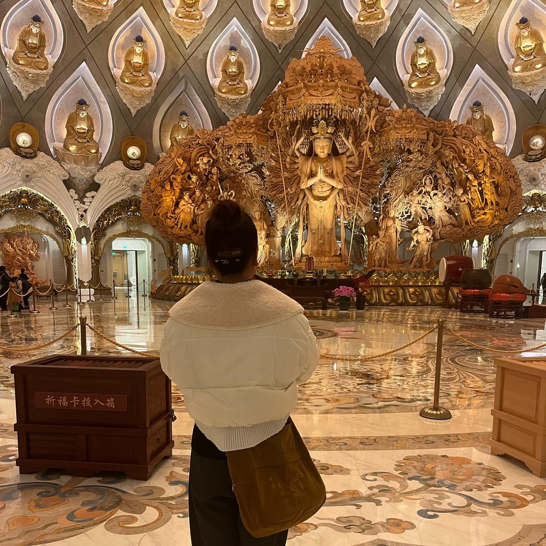 心静🪷缘🪷燕子