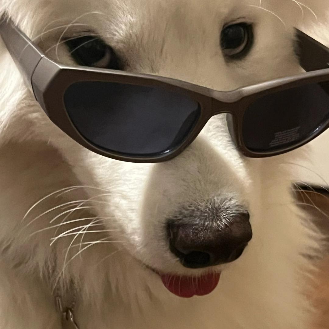 别怕！