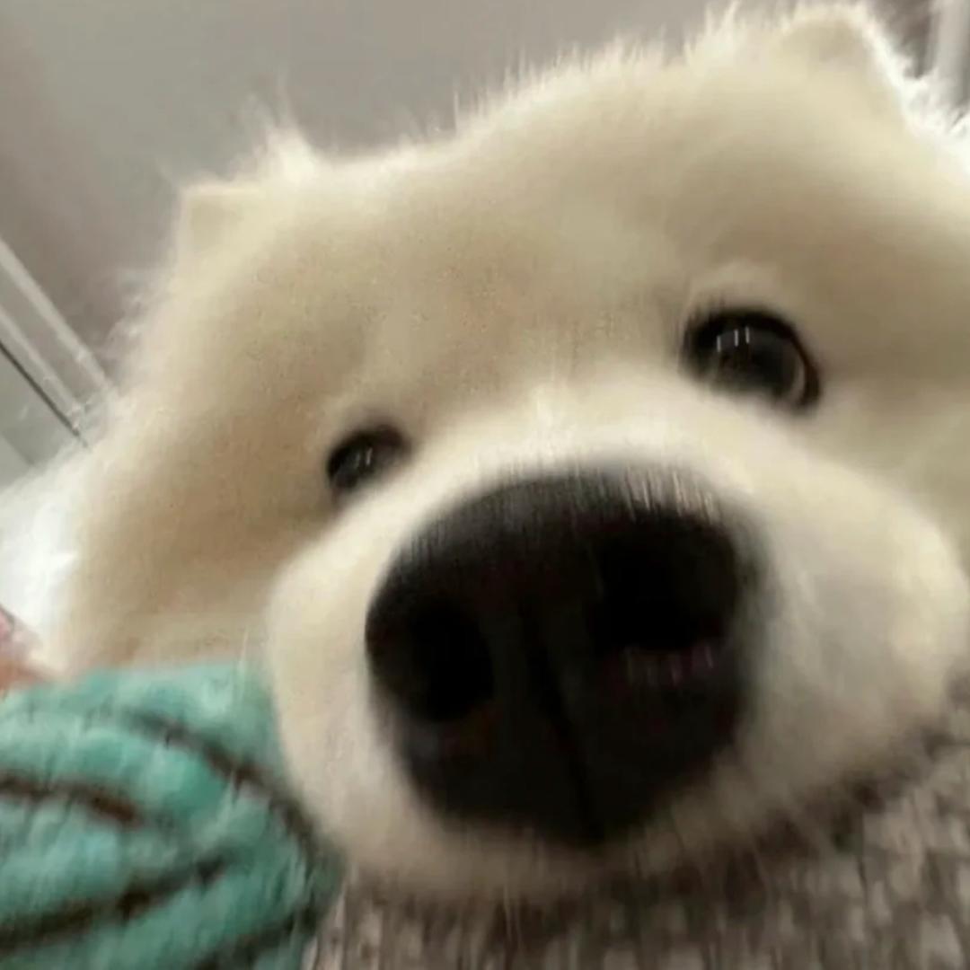 YuRr1i
