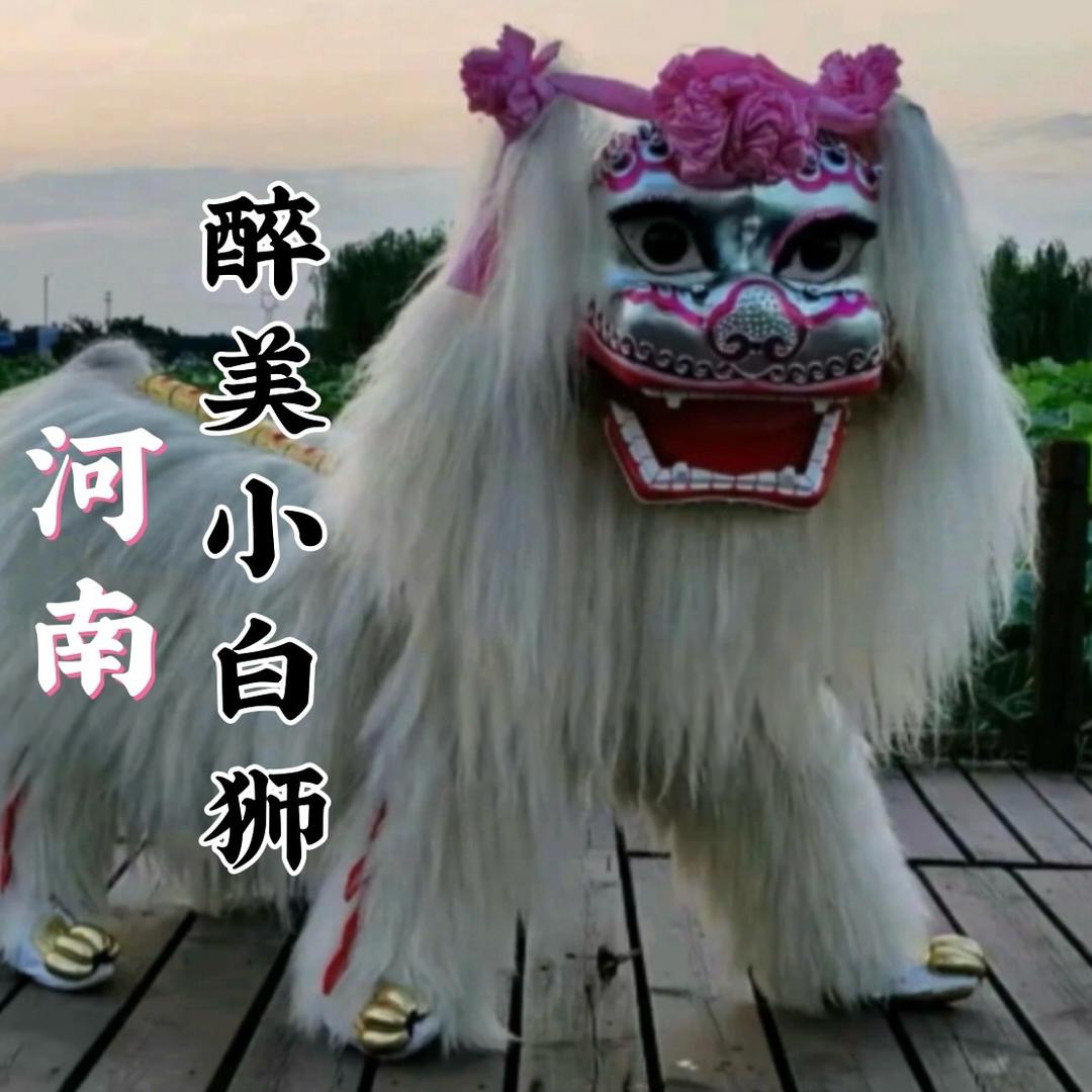 河南龙家班小白狮