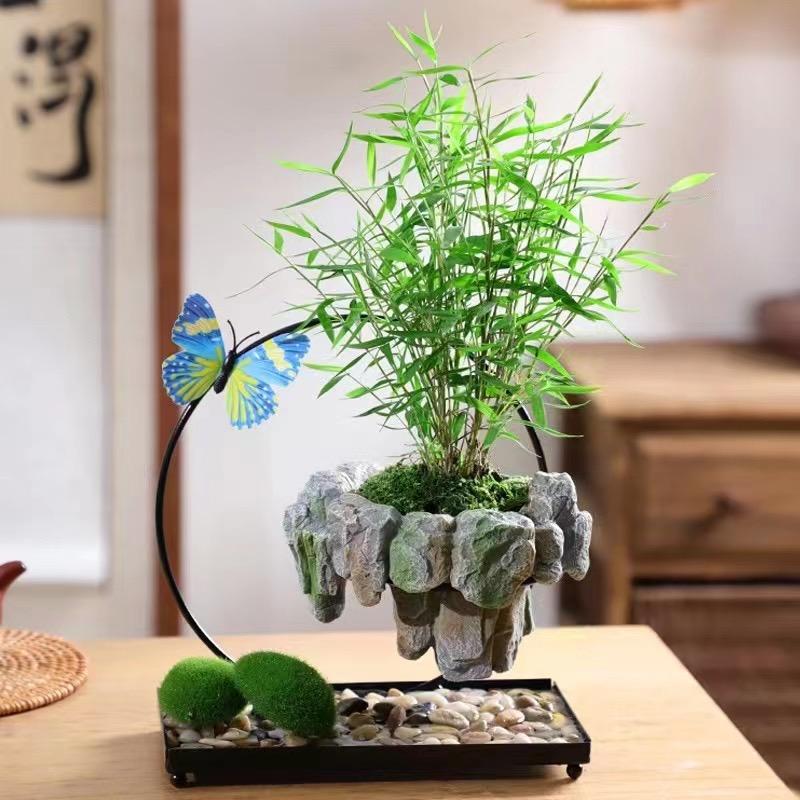 青香植兰