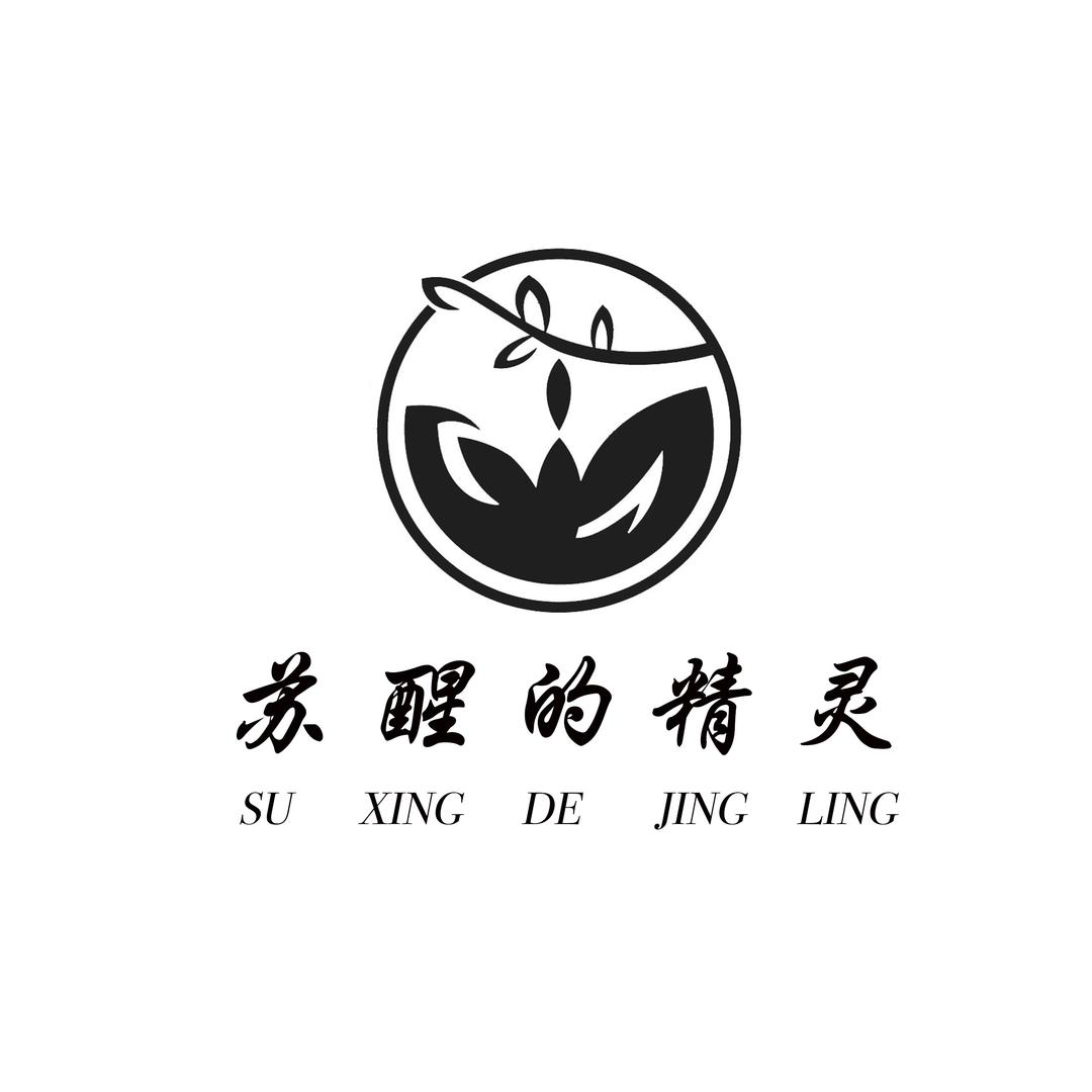 苏醒的精灵设计师店