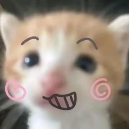 火鸡面的狗