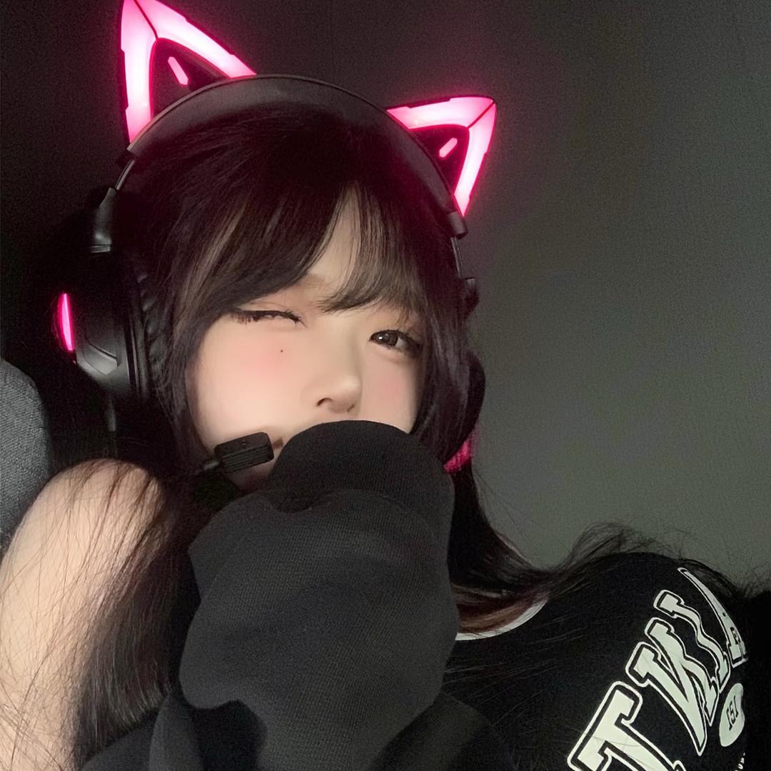 养猫（三角洲行动）