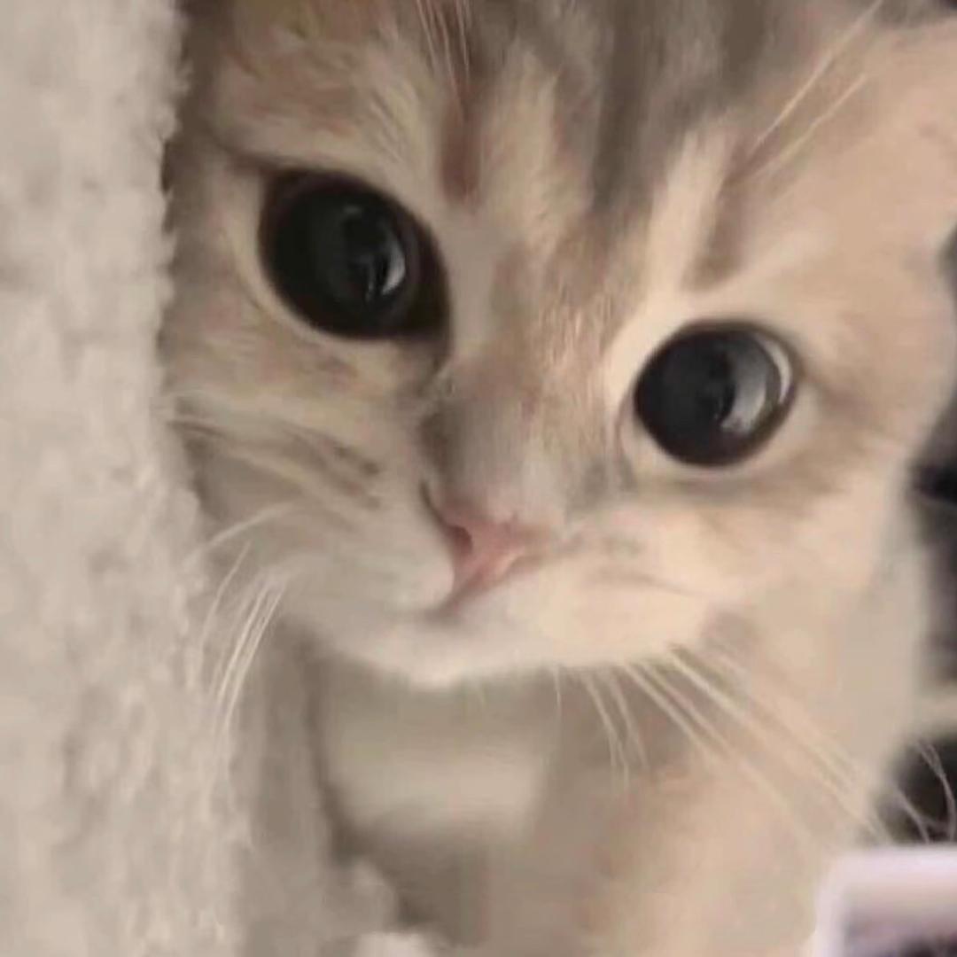 Ami