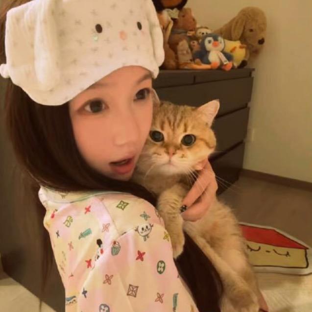 睡不完🦔