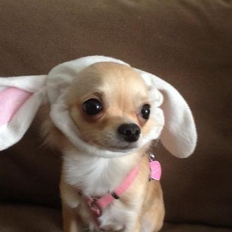 我没看见你饭啊