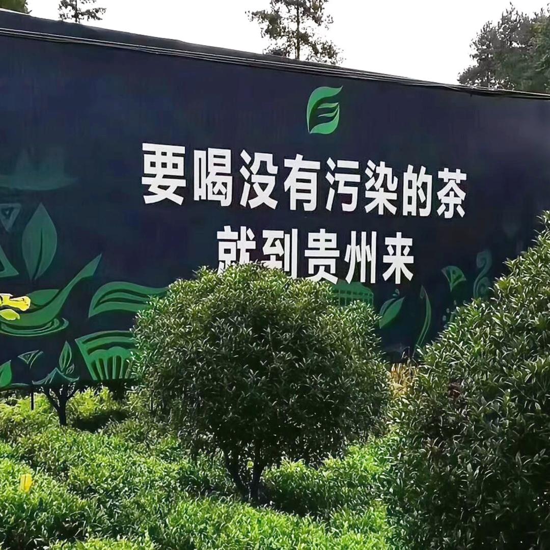 二月春茶业工厂店