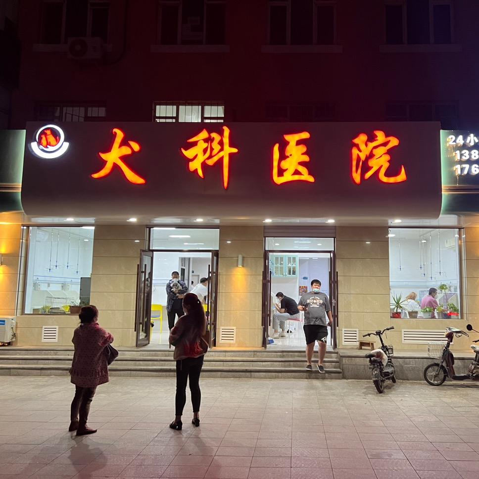 白城市洪利犬科医院•CT影像中心