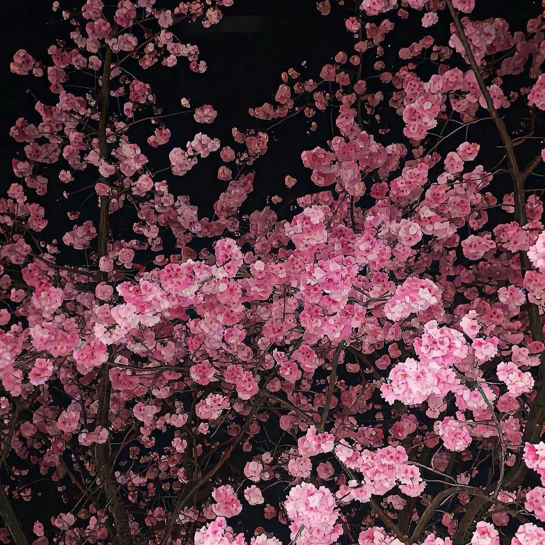 让你遇见这么差劲的我