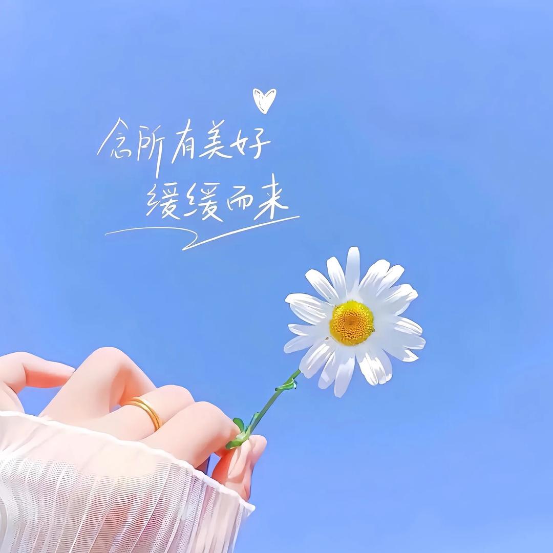 蝴蝶飞飞