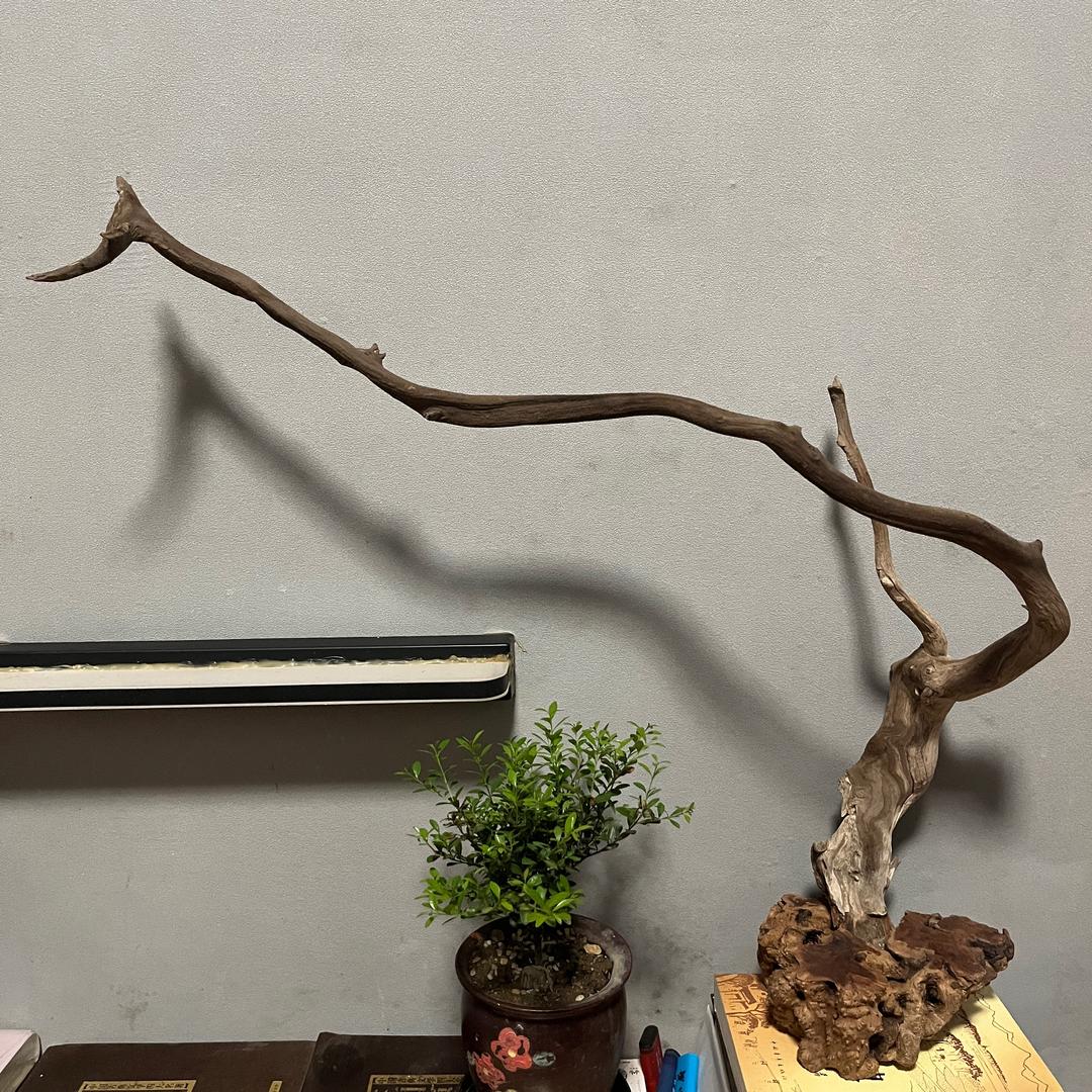 玩木头的仔哥
