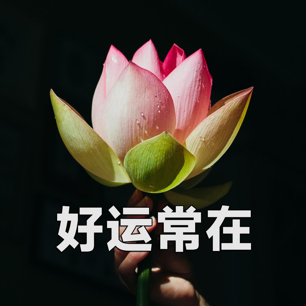 𝓯𝓲𝓷𝓮𓍼✿