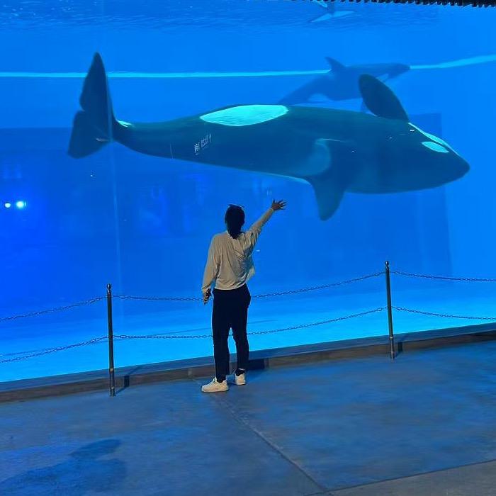 🌈🌈🌈喵🌈🌈🌈