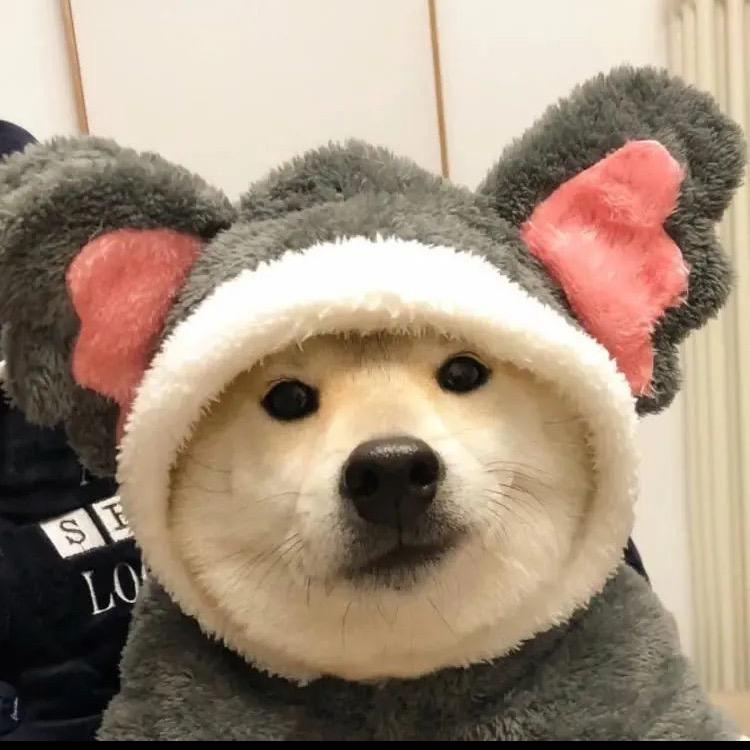 嘿嘿⁷²³