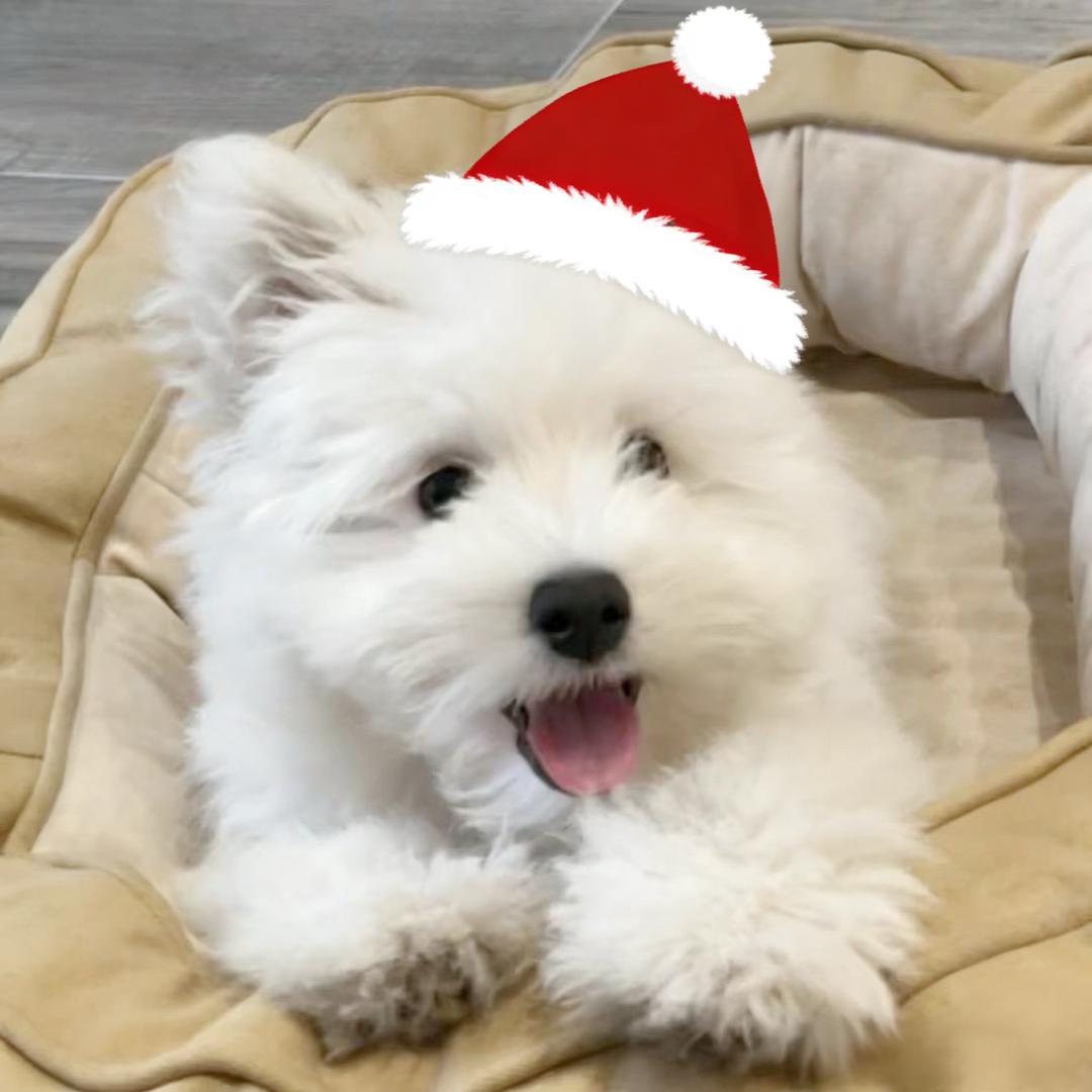 哈哈John哈哈哈哈哈哈哈😂