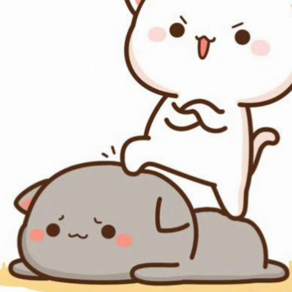 陪小萌许个愿