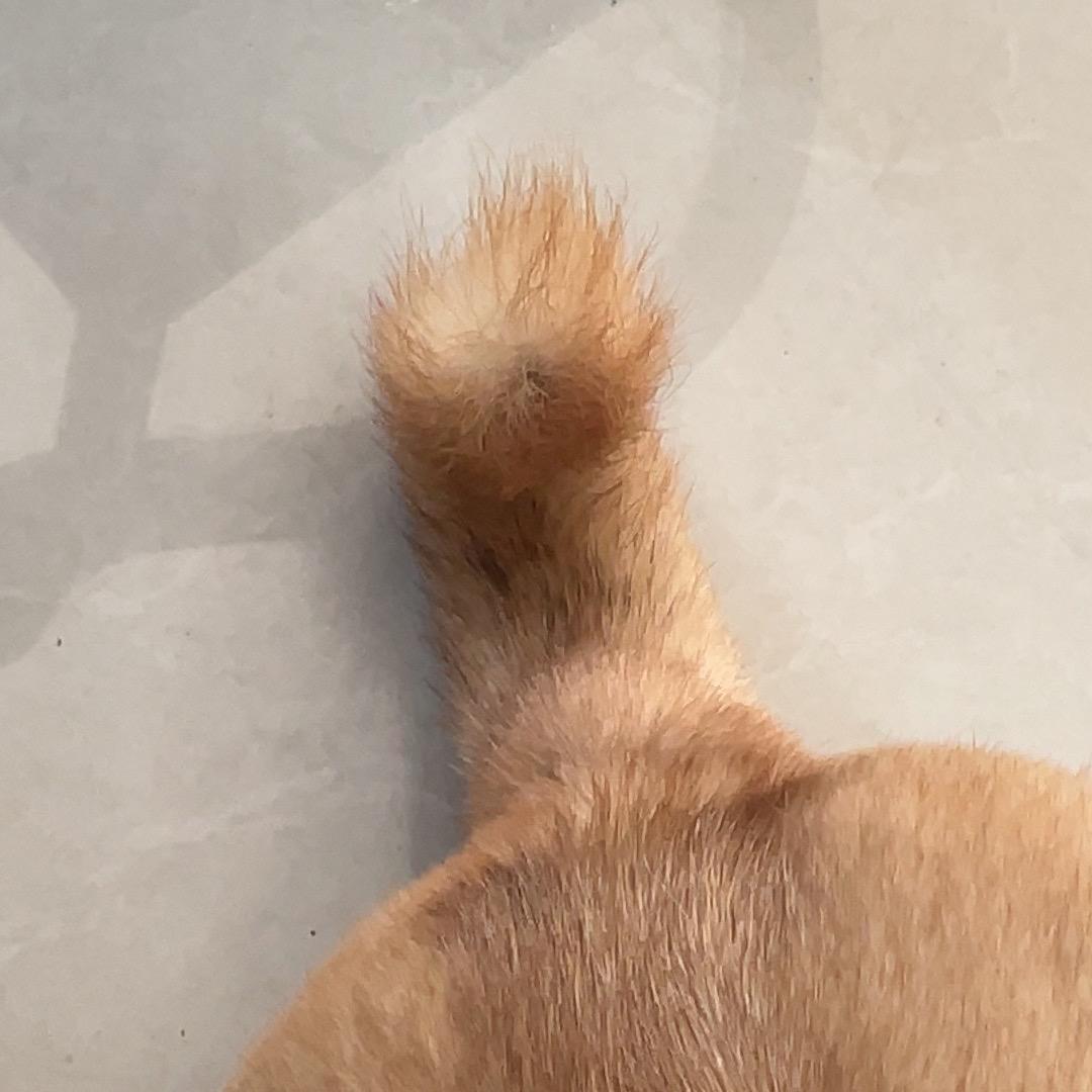 👀