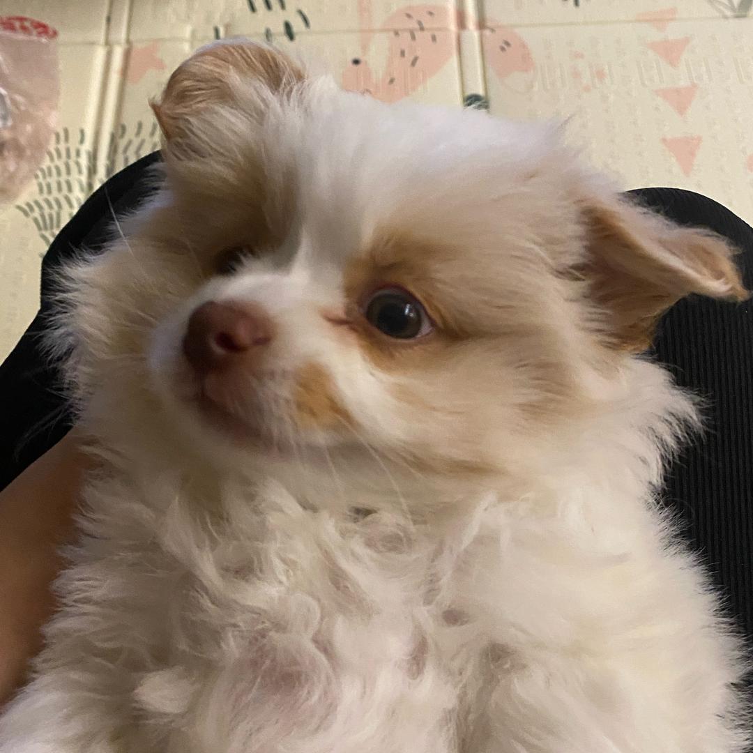 ㄱㅎㅁ