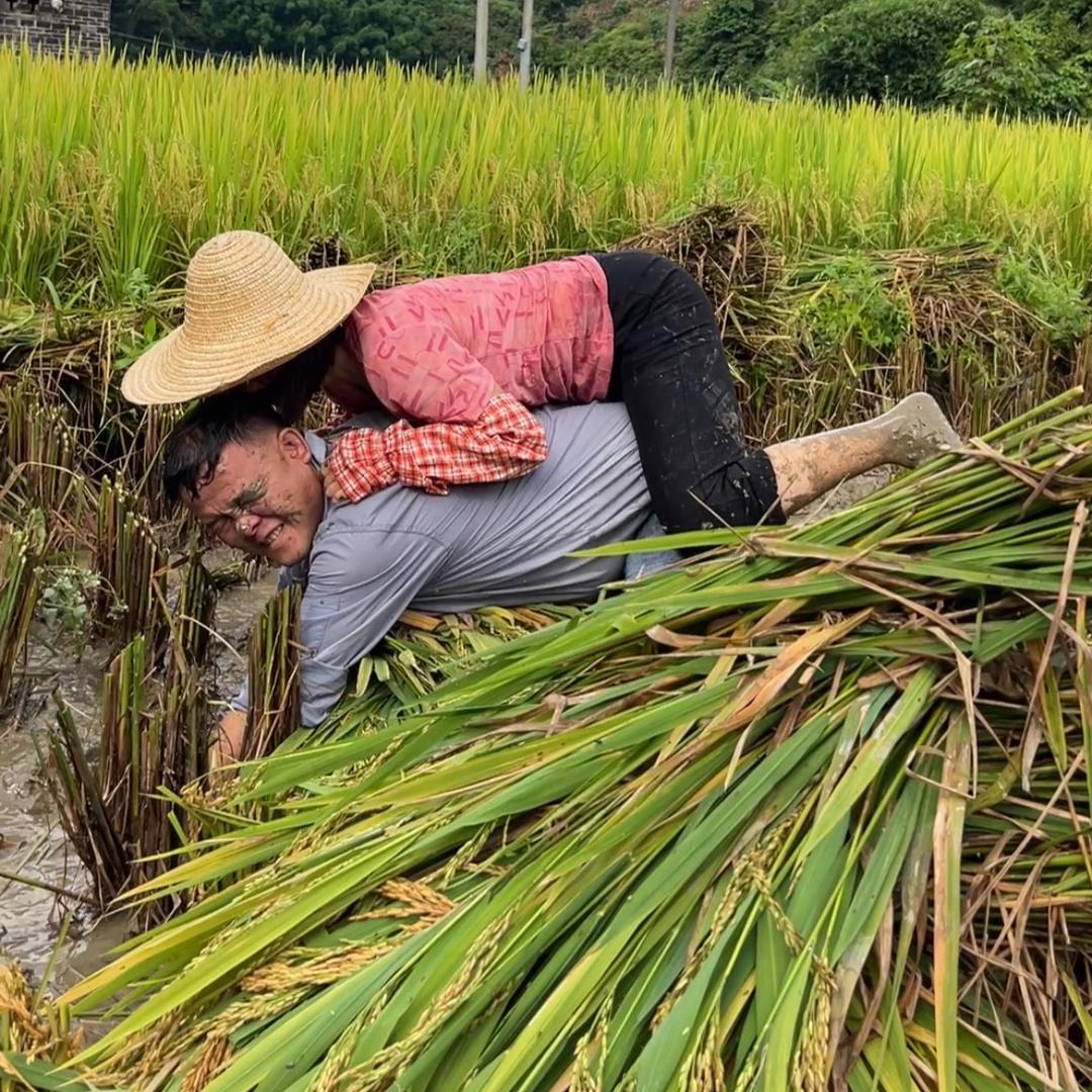 蕃薯强家小贵州