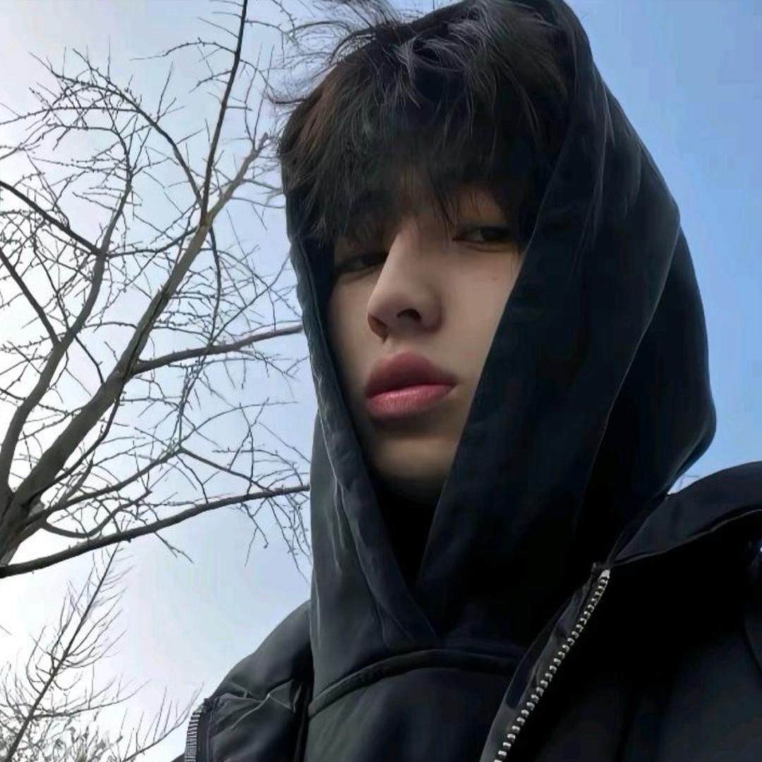 嘉禾数码严选店