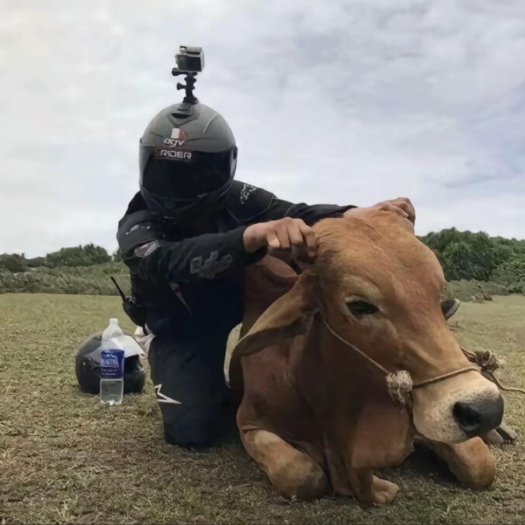 好饭就我自己拼