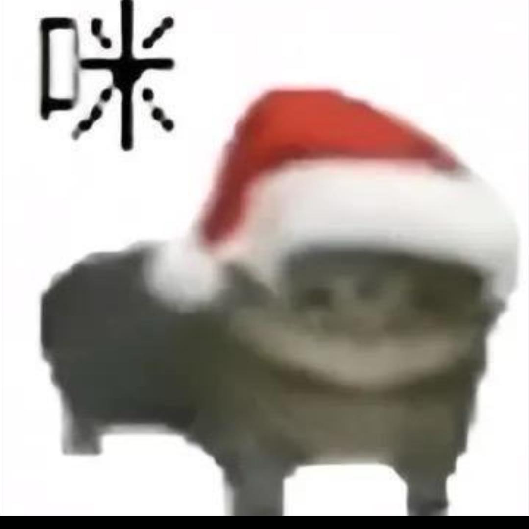 哈哈哈哈哈哈哈