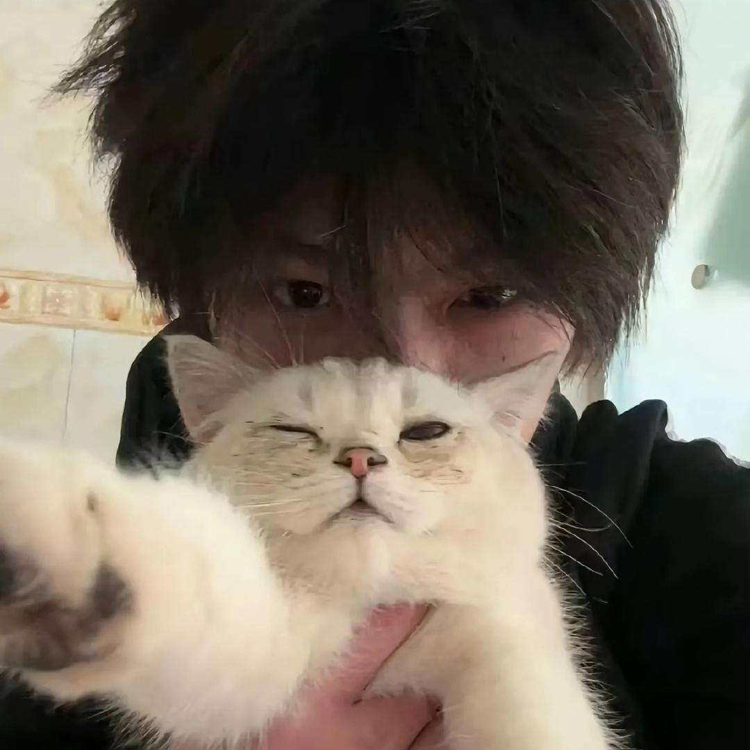 阳崽