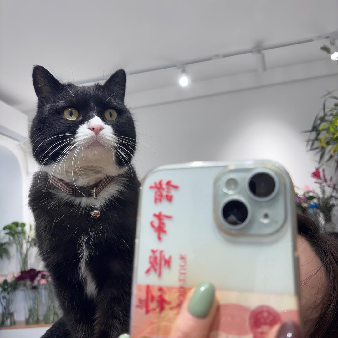 多米别出去玩好嘛