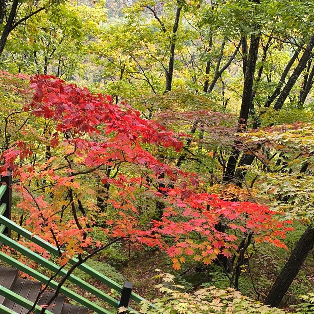 麻团