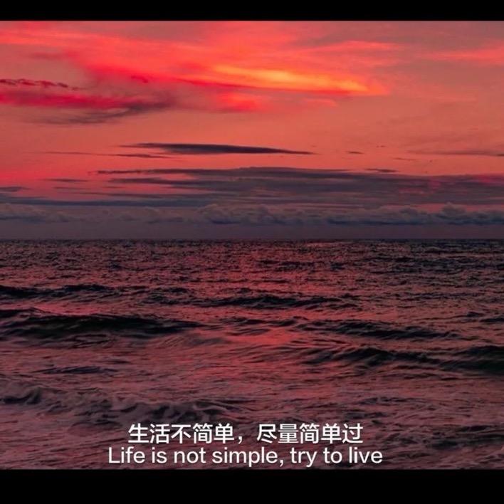 藏晴