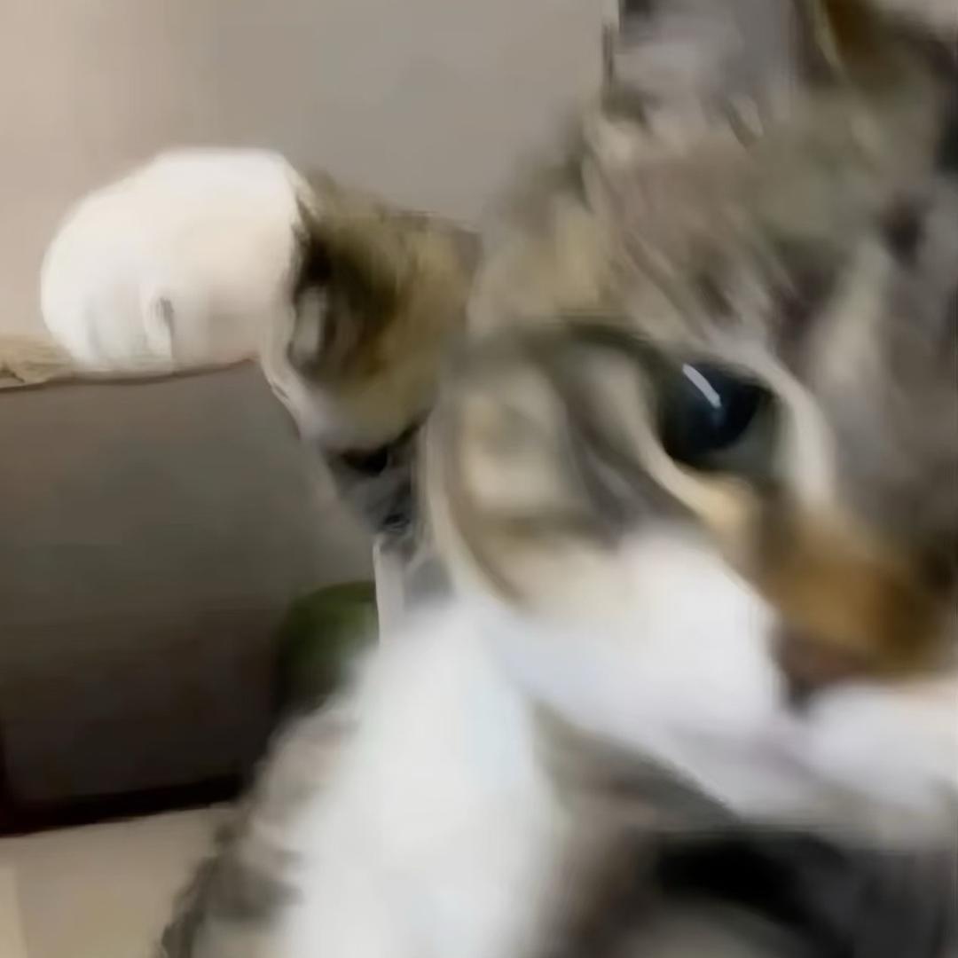 路过