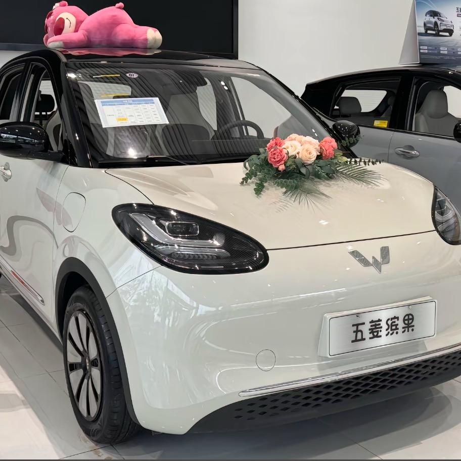五菱缤果-小羊