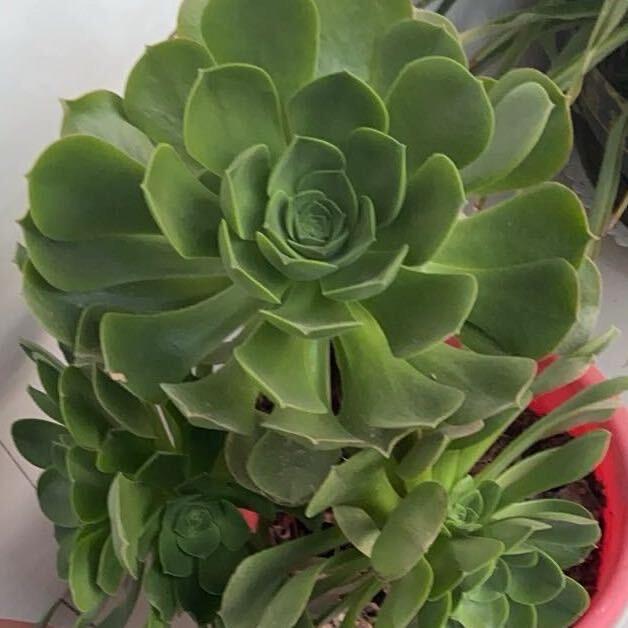 一米阳光❤️❤️