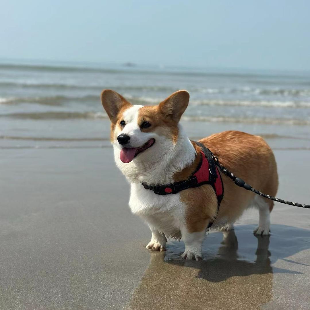 头排平地钓场