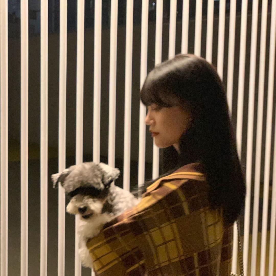 樱禾YHH®