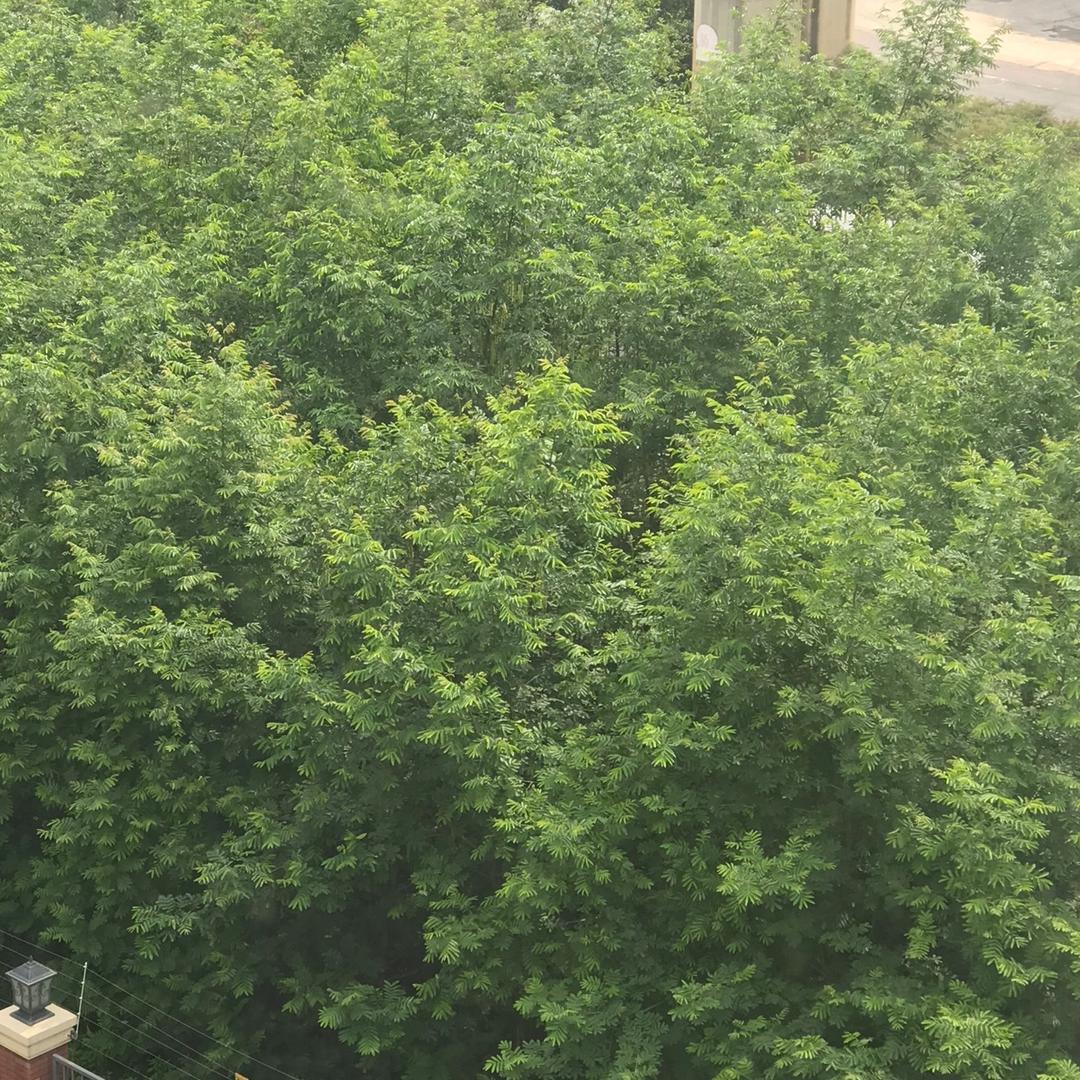 罢了