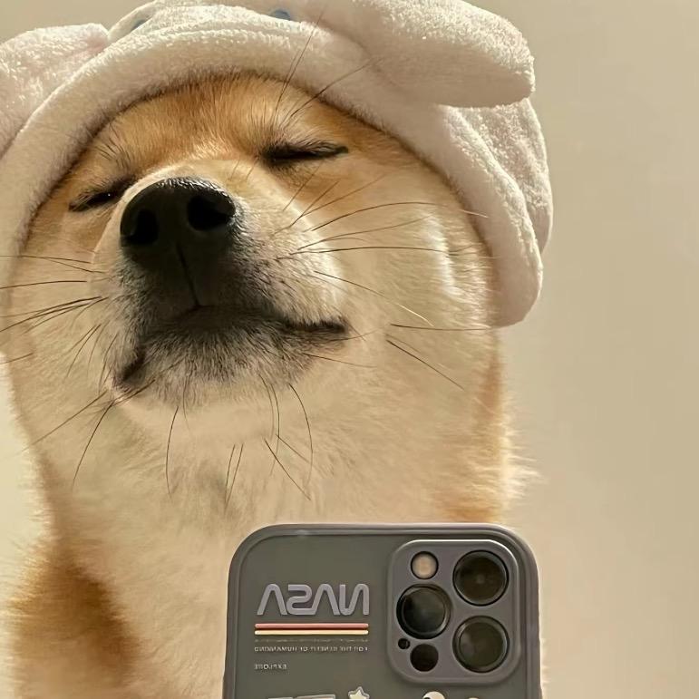 星星的摆摊日记(vlog版)