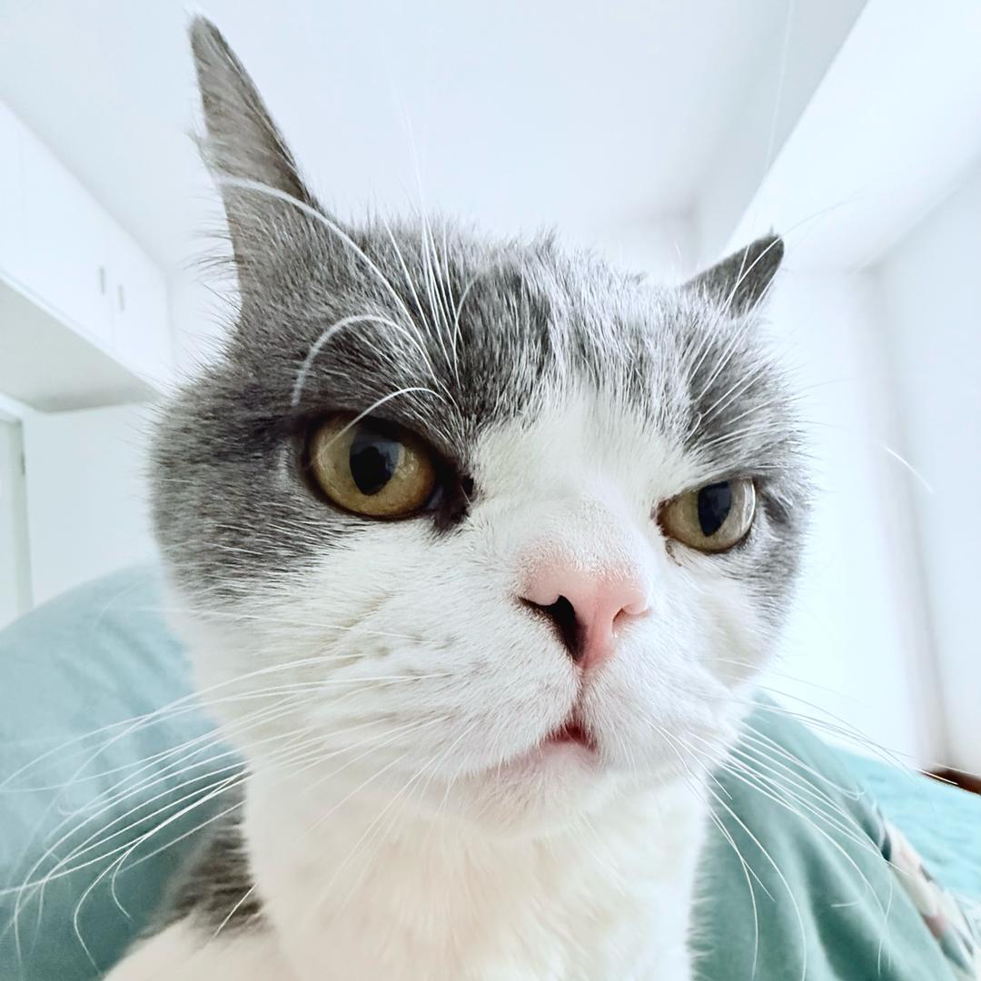 王某人          　　　　 🪳