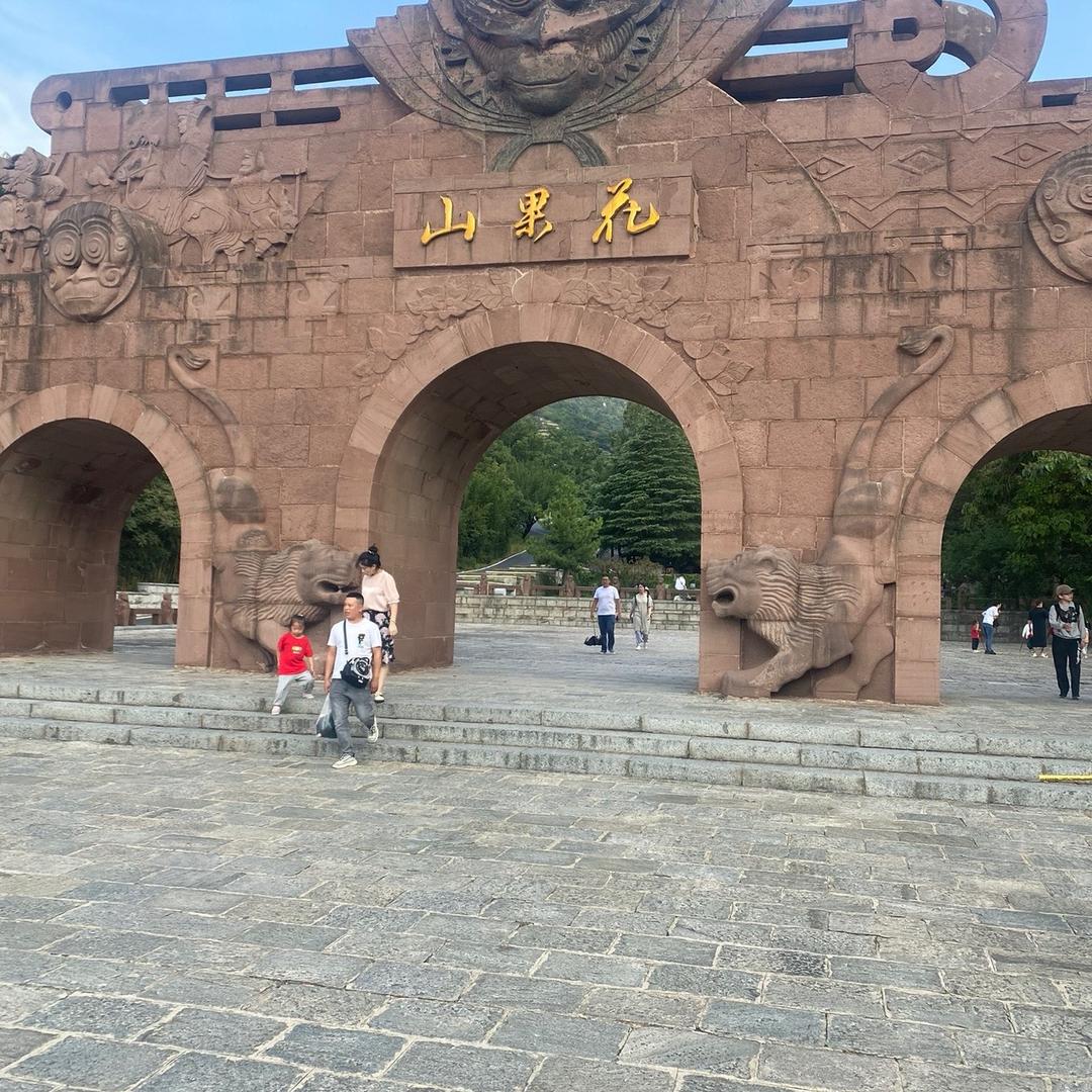 环游地球的鱼🐟