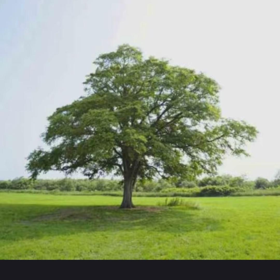 心就那么大，别什么都往里装