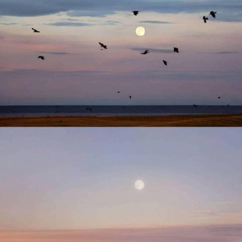 本来就是个咸鸭蛋