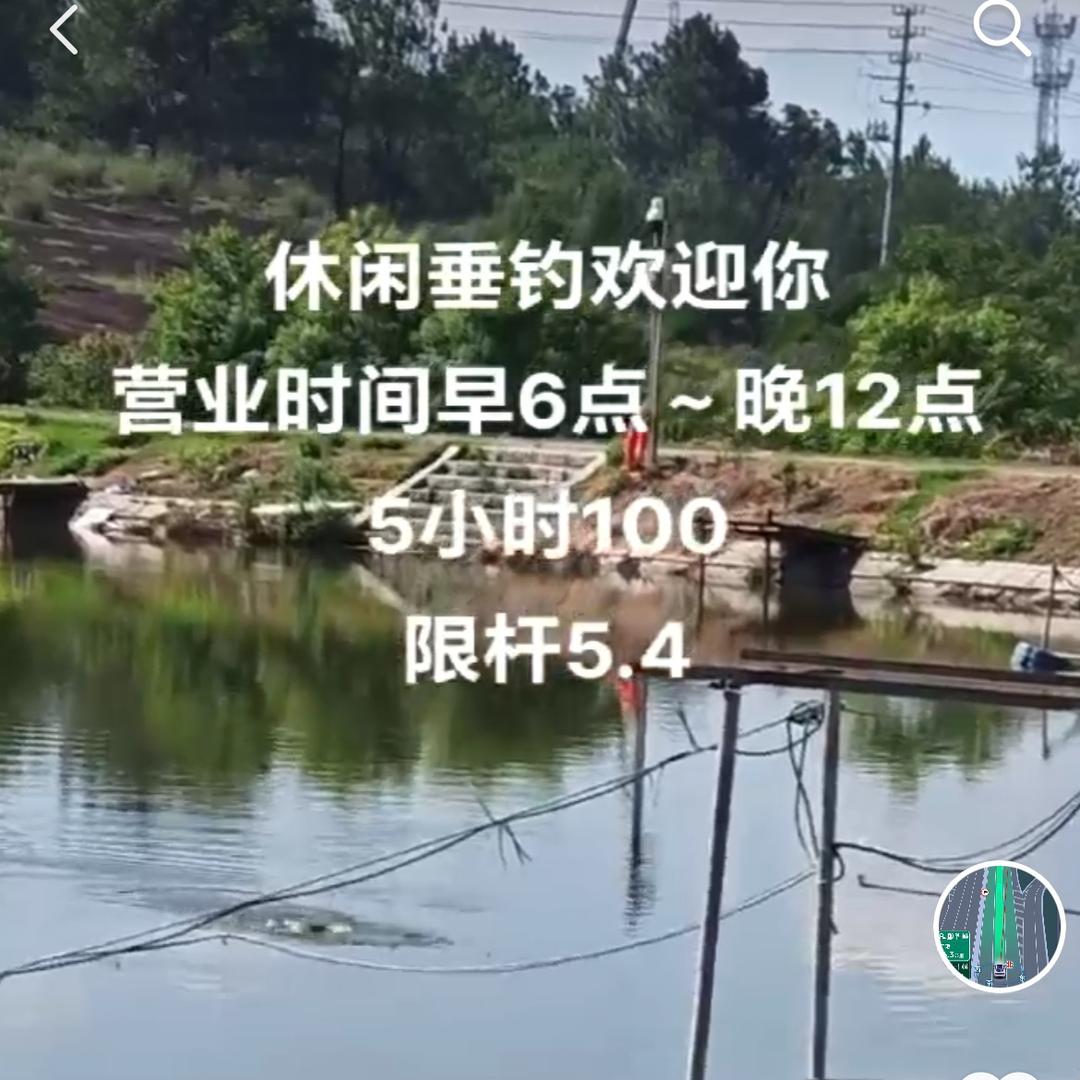 休闲垂钓🎣场
