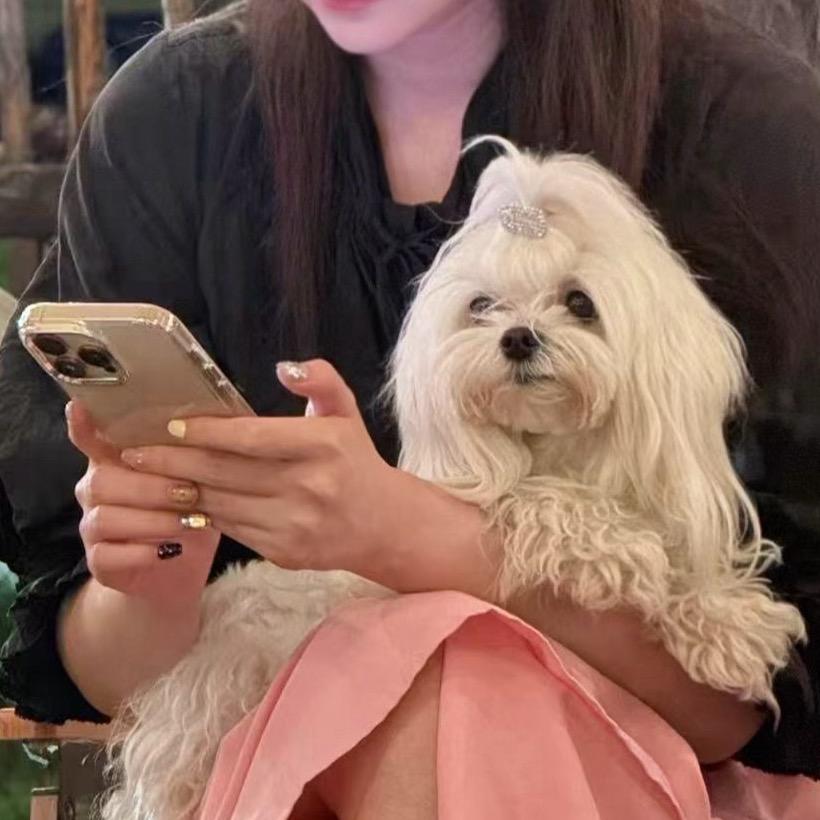 美美的菲老板儿🌙