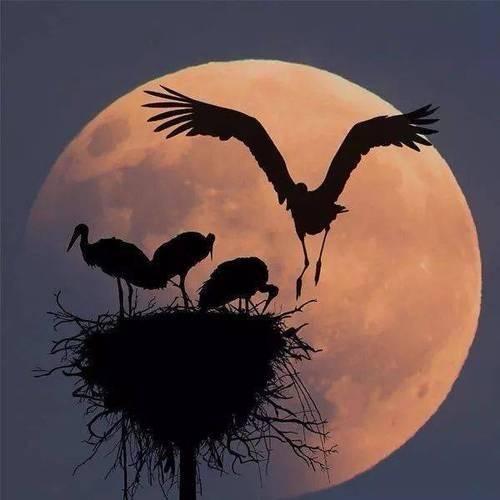 拾起时光的记忆