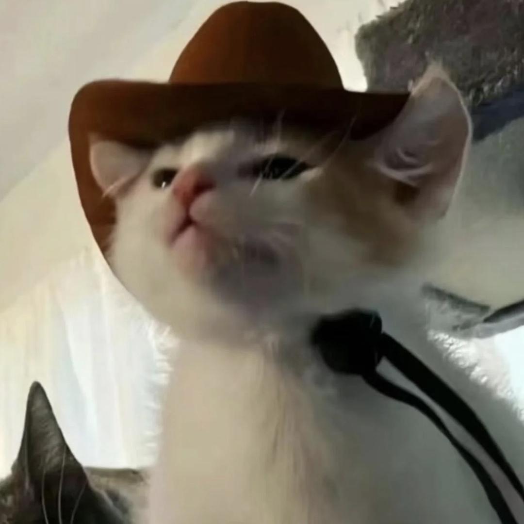 风流的烤地瓜🍠